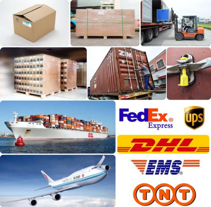 DE08 D1146 Gasketa głowicy cylindru do ciężarówki kopalnicy 18